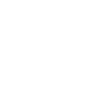 Designing and Branding your Car