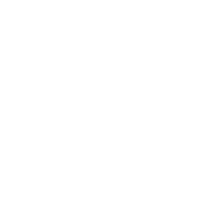 Front Windshield Protection