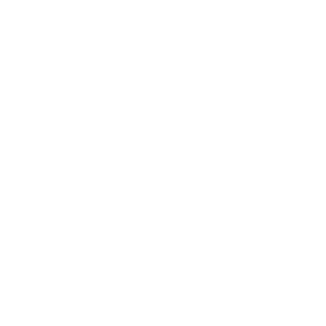 Paint Protection Film